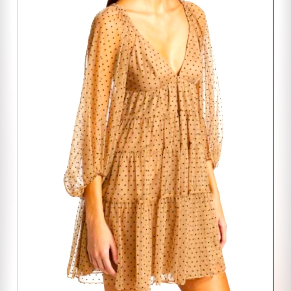 Nude Tulle Black velvet Polka Dot Romantic Retro Mini Dress
Size Large - Picture 3 of 11